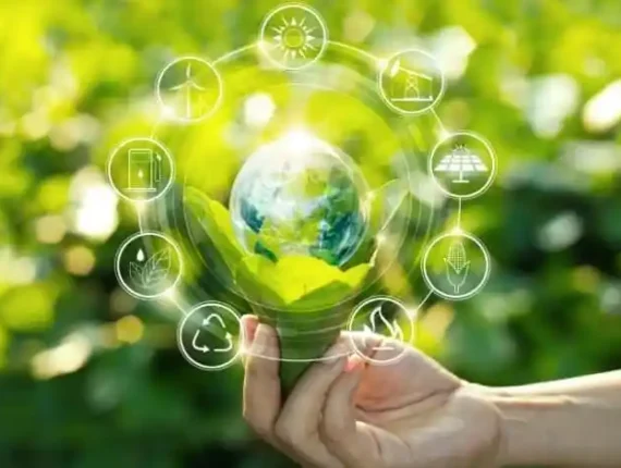 دور الاستدامة في تطوير منتجات ورقية صحية